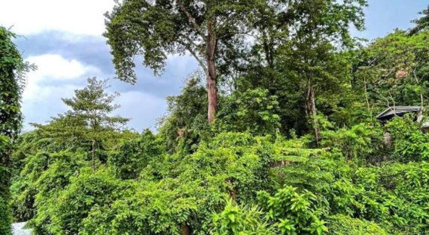 Rueangrat Hotel Ranong Esterno foto